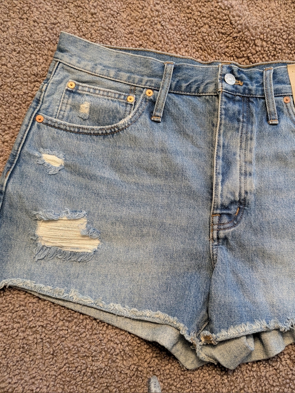 Madewell Light Blue Distressed Denim Jean Shorts